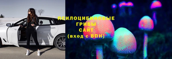 прущие крисы Дмитров