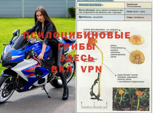 кокаин VHQ Дмитровск