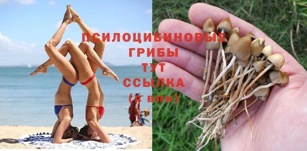 мефедрон мука Дмитриев