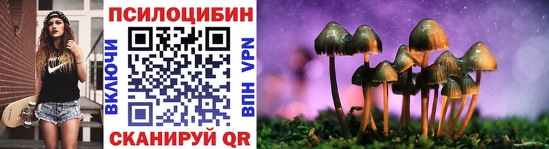 Купить закладки  Гусиноозёрск  Псилоцибиновые грибы MAGIC MUSHROOMS 